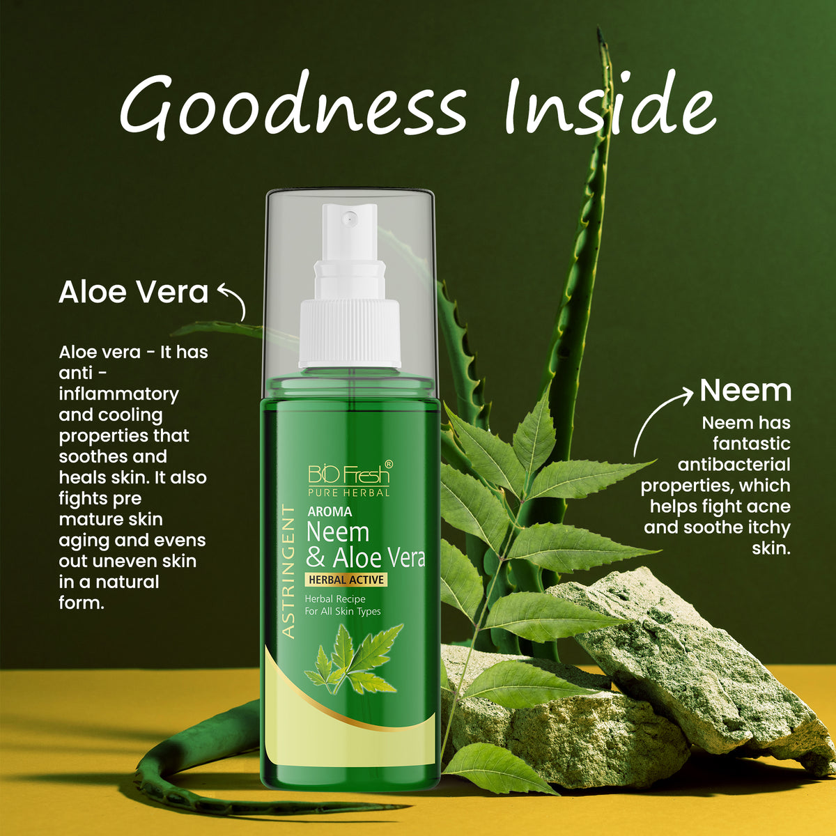 NEEM ASTIRGENT