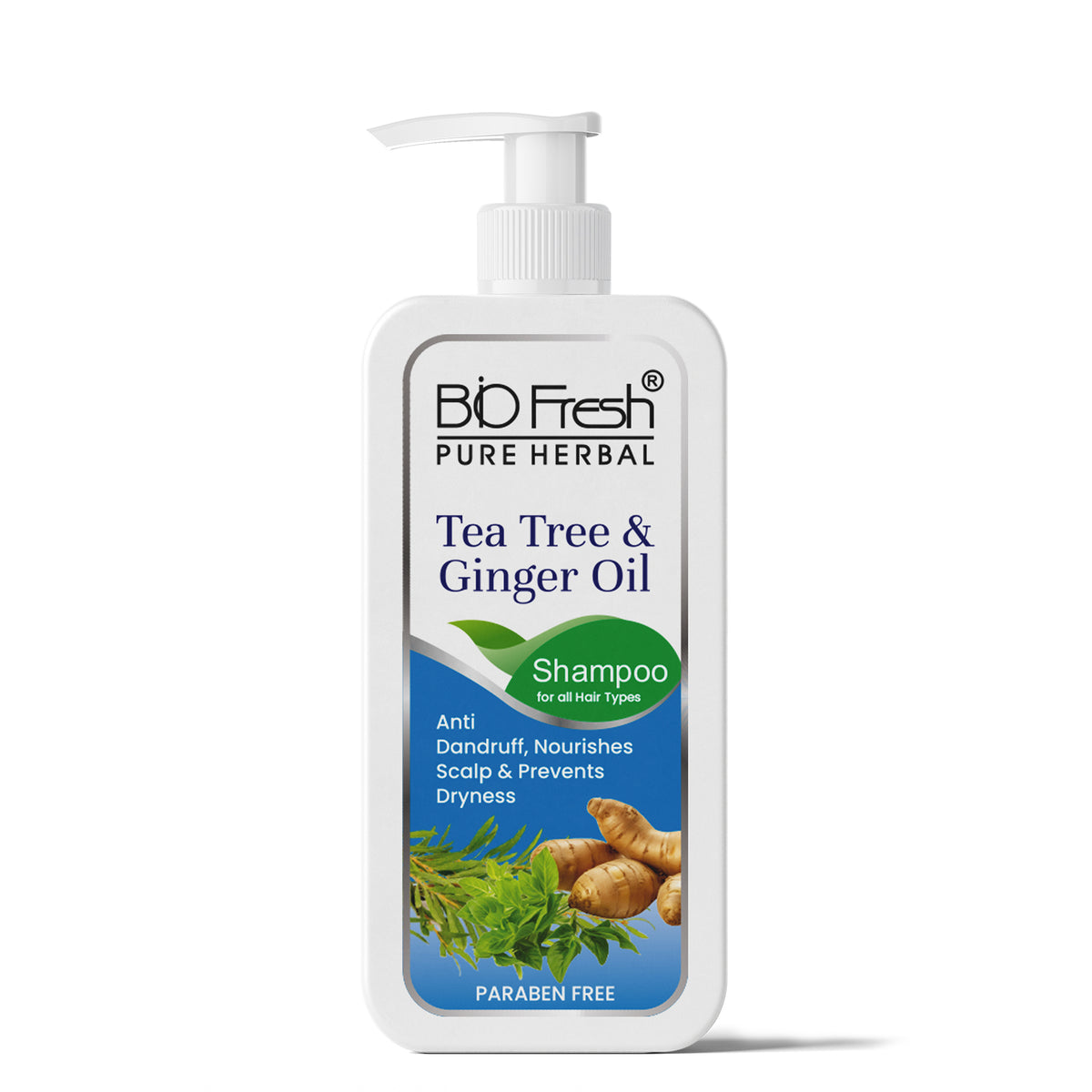 TEA TREE & GINGER SHAMPOO 🌿✨