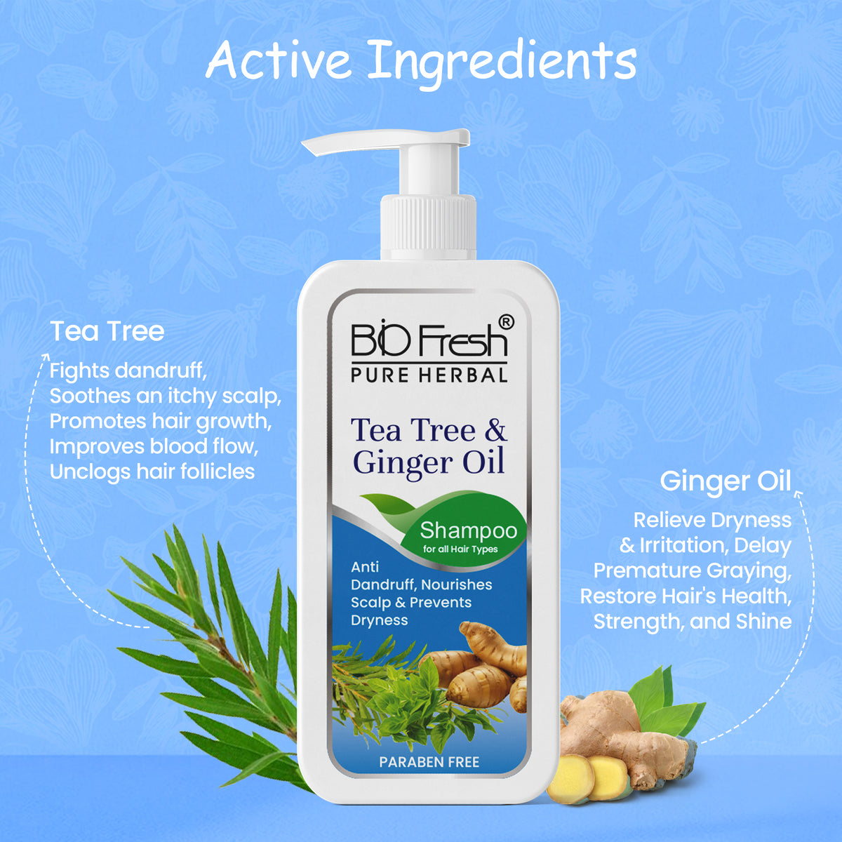 TEA TREE & GINGER SHAMPOO 🌿✨